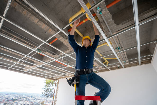 Best Plumbing Inspection Services  in Maria Stein, OH